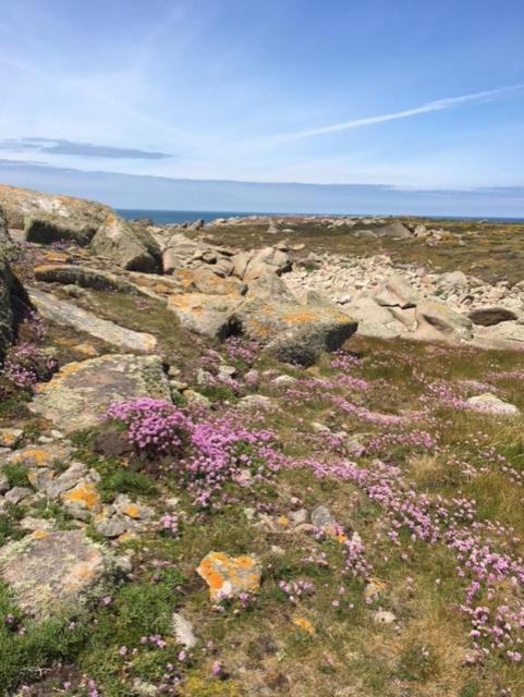 Belle Vue Sur Mer Saint-Michel-en-Grève Eksteriør billede